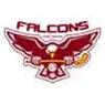 Falcons Stará Ľubovňa J&A