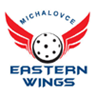 Eastern wings Michalovce
