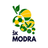 ŠK Florbal Modra - zelení